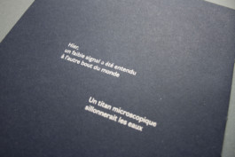 Maud Guerche